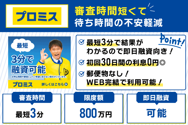 プロミスの特徴を記載した画像